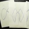 Как сделать крылья ангела своими руками из бумаги или ткани Как сделать легкие крылья
